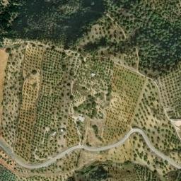 Satellite imagery of survey_point, DZ