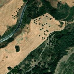Satellite imagery of survey_point, DZ