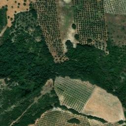 Satellite imagery of survey_point, DZ