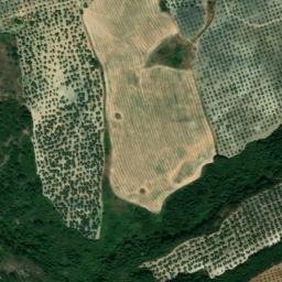 Satellite imagery of survey_point, DZ