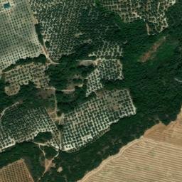 Satellite imagery of survey_point, DZ
