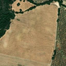 Satellite imagery of survey_point, DZ