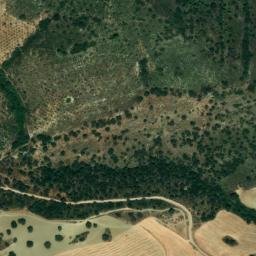 Satellite imagery of survey_point, DZ