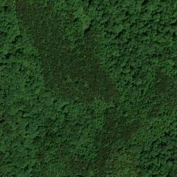 Satellite imagery of Grapevine Ridge, US