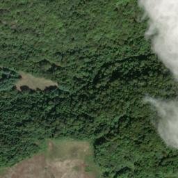 Satellite imagery of Fork Ridge, US