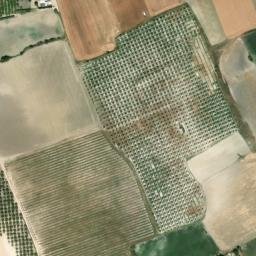Satellite imagery of survey_point, DZ
