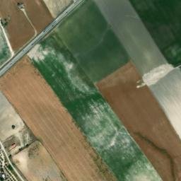 Satellite imagery of survey_point, DZ