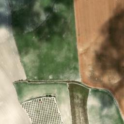 Satellite imagery of survey_point, DZ