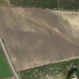 Satellite imagery of survey_point, DZ