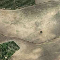 Satellite imagery of survey_point, DZ