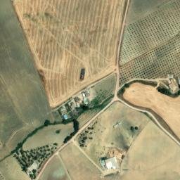 Satellite imagery of survey_point, DZ