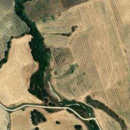 Satellite imagery of survey_point, DZ