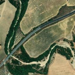 Satellite imagery of survey_point, DZ