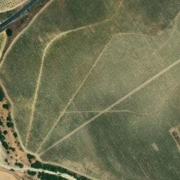 Satellite imagery of survey_point, DZ