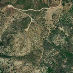 Satellite imagery of survey_point, DZ
