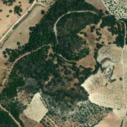 Satellite imagery of survey_point, DZ