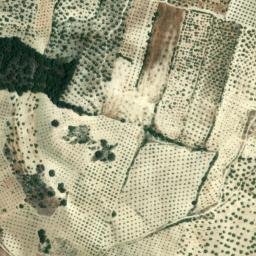 Satellite imagery of survey_point, DZ