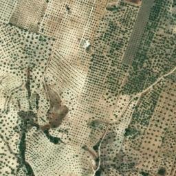 Satellite imagery of survey_point, DZ