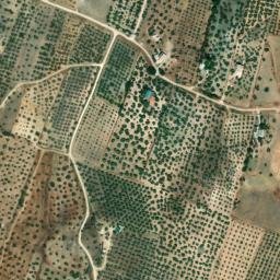 Satellite imagery of survey_point, DZ