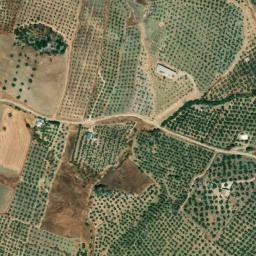 Satellite imagery of survey_point, DZ