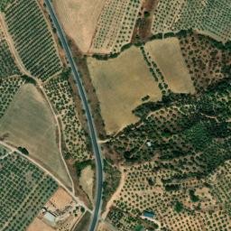 Satellite imagery of survey_point, DZ