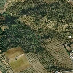 Satellite imagery of survey_point, DZ