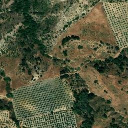 Satellite imagery of survey_point, DZ
