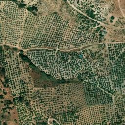 Satellite imagery of survey_point, DZ