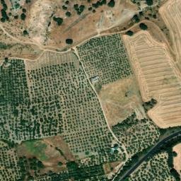 Satellite imagery of survey_point, DZ