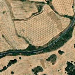 Satellite imagery of survey_point, DZ