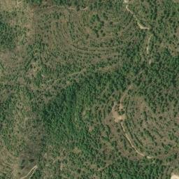 Satellite imagery of survey_point, DZ