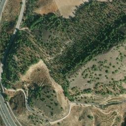 Satellite imagery of survey_point, DZ