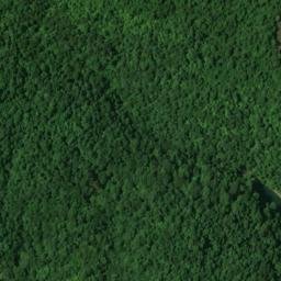 Satellite imagery of Cave Springs Ridge, US