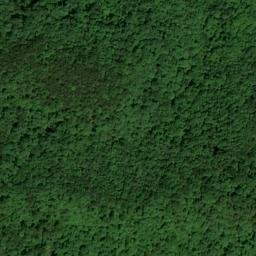 Satellite imagery of Hewling Ridge, US
