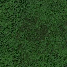 Satellite imagery of Rock Ridge, US