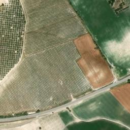 Satellite imagery of survey_point, DZ