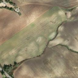Satellite imagery of survey_point, DZ