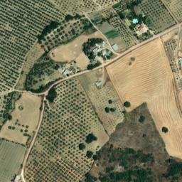 Satellite imagery of survey_point, DZ