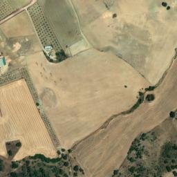 Satellite imagery of survey_point, DZ