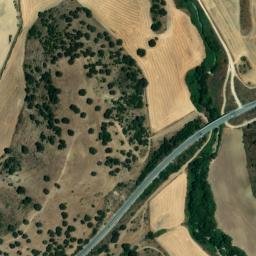 Satellite imagery of survey_point, DZ