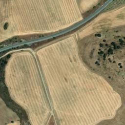 Satellite imagery of survey_point, DZ