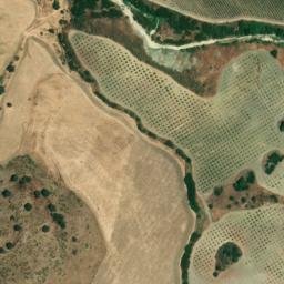 Satellite imagery of survey_point, DZ