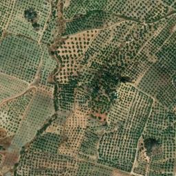Satellite imagery of survey_point, DZ