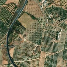 Satellite imagery of survey_point, DZ
