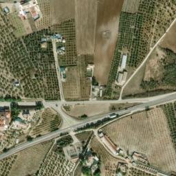 Satellite imagery of survey_point, DZ