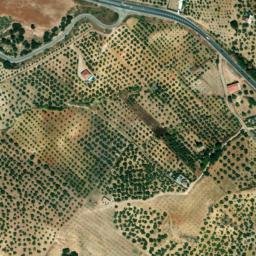 Satellite imagery of survey_point, DZ