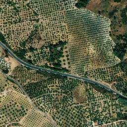 Satellite imagery of survey_point, DZ