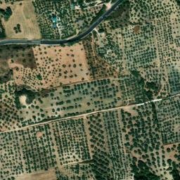 Satellite imagery of survey_point, DZ