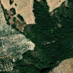 Satellite imagery of survey_point, DZ