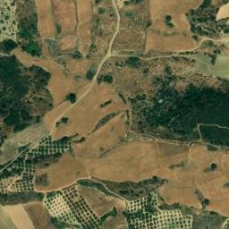 Satellite imagery of survey_point, DZ